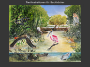 tier_sachbuch_01.jpg